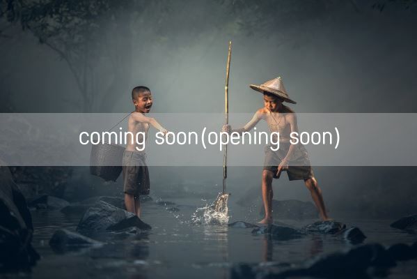 coming soon(opening soon)(图1)