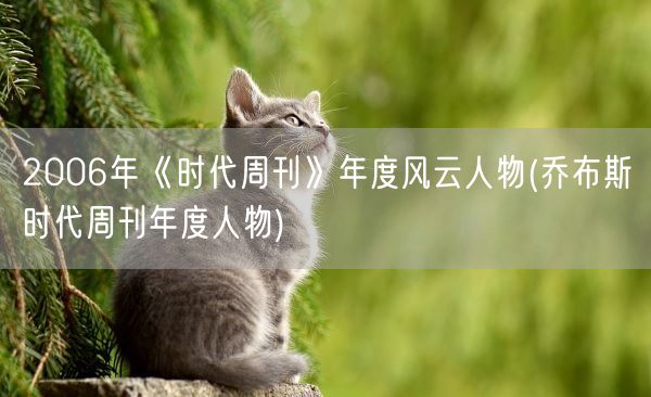 2006年《时代周刊》年度风云人物(乔布斯时代周刊年度人物)(图1)