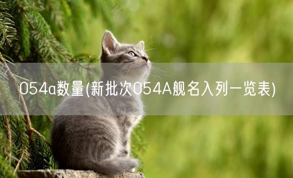 054a数量(新批次054A舰名入列一览表)(图1)
