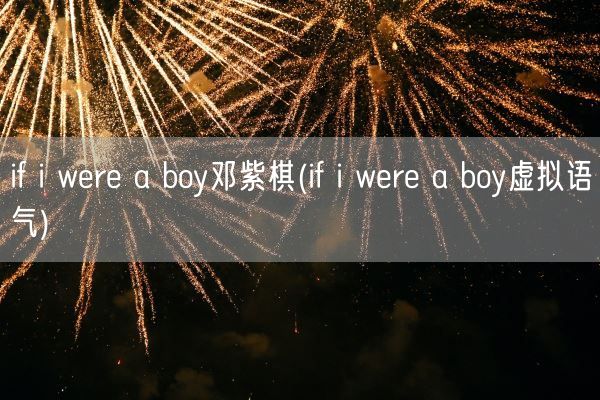 if i were a boy邓紫棋(if i were a boy虚拟语气)(图1)