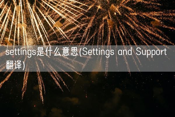 settings是什么意思(Settings and Support 翻译)(图1)