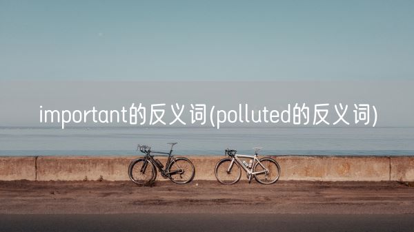 important的反义词(polluted的反义词)(图1) important的反义词(polluted的反义词)(图1)