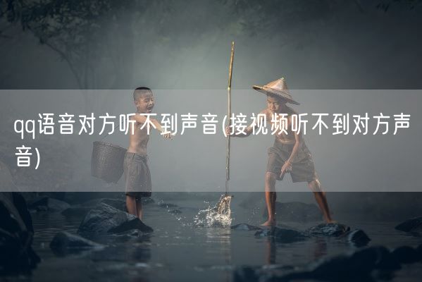 qq语音对方听不到声音(接视频听不到对方声音)(图1)