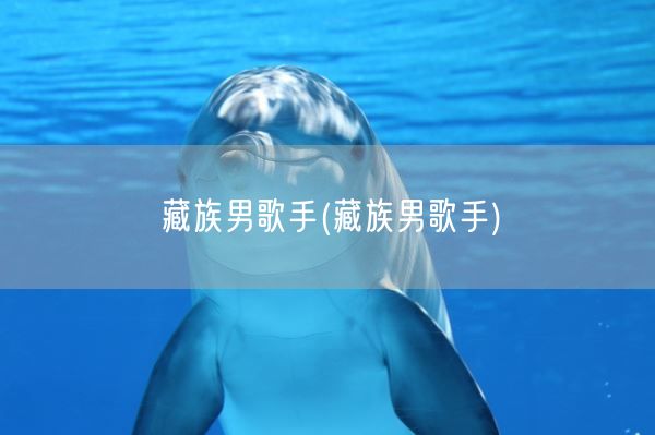 藏族男歌手(藏族男歌手)(图1)