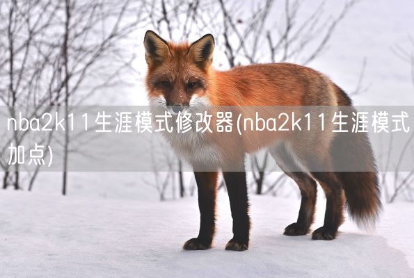 nba2k11生涯模式修改器(nba2k11生涯模式加点)(图1)