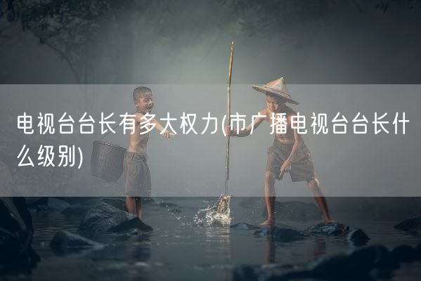 电视台台长有多大权力(市广播电视台台长什么级别)(图1)