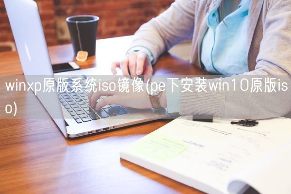 winxp原版系统iso镜像(pe下安装win10原版iso)(图1)