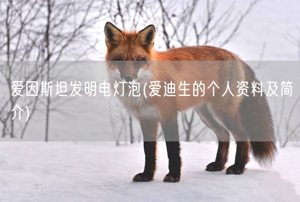 爱因斯坦发明电灯泡(爱迪生的个人资料及简介)(图1)