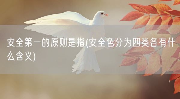 安全第一的原则是指(安全色分为四类各有什么含义)(图1) 安全第一的原则是指(安全色分为四类各有什么含义)(图1)