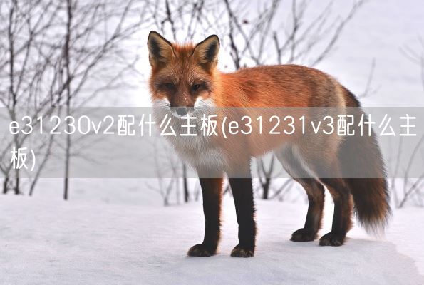 e31230v2配什么主板(e31231v3配什么主板)(图1)