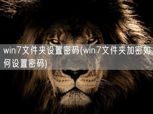win7文件夹设置密码(win7文件夹加密如何设置密码)(图1)
