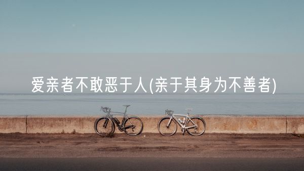 爱亲者不敢恶于人(亲于其身为不善者)(图1)