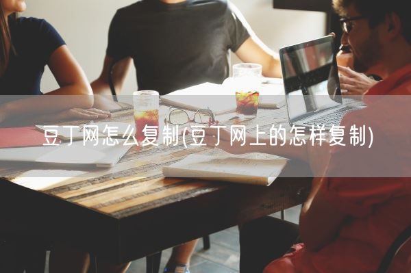 豆丁网怎么复制(豆丁网上的怎样复制)(图1)