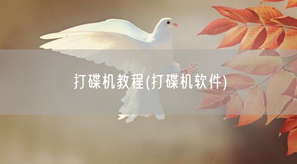 打碟机教程(打碟机软件)(图1)