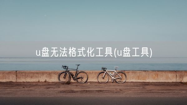 u盘无法格式化工具(u盘工具)(图1)