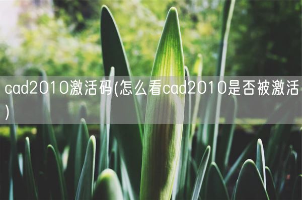 cad2010激活码(怎么看cad2010是否被激活)(图1)