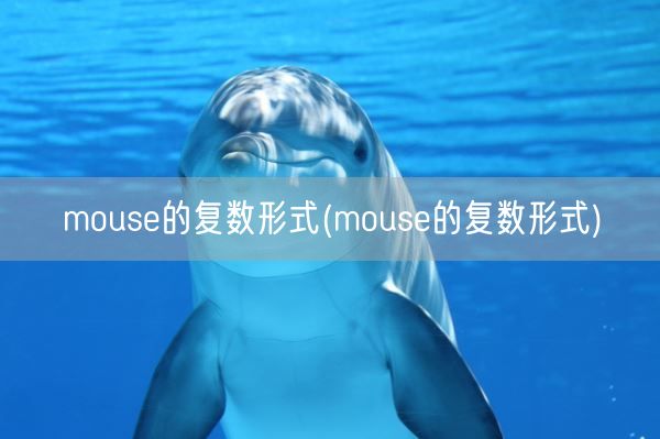 mouse的复数形式(mouse的复数形式)(图1)