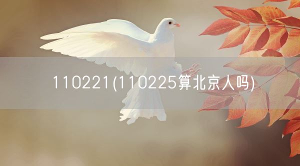 110221(110225算北京人吗)(图1)