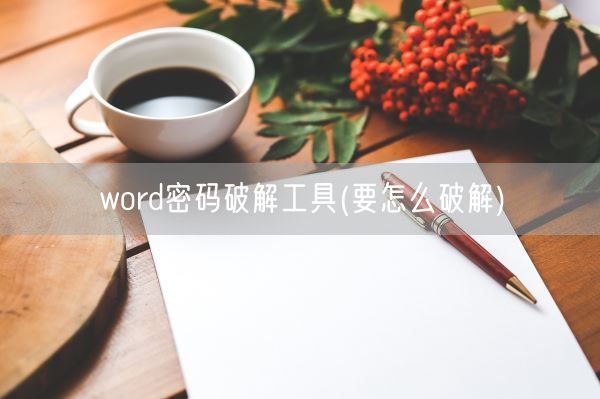word密码破解工具(要怎么破解)(图1)