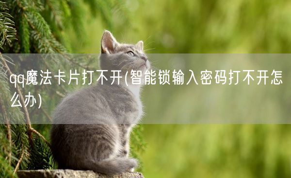 qq魔法卡片打不开(智能锁输入密码打不开怎么办)(图1)