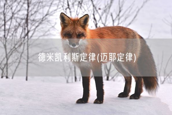德米凯利斯定律(迈耶定律)(图1)