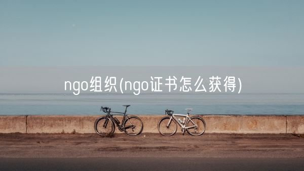 ngo组织(ngo证书怎么获得)(图1) ngo组织(ngo证书怎么获得)(图1)
