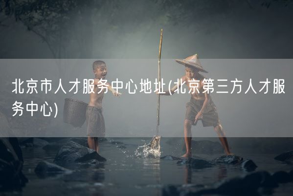 北京市人才服务中心地址(北京第三方人才服务中心)(图1)