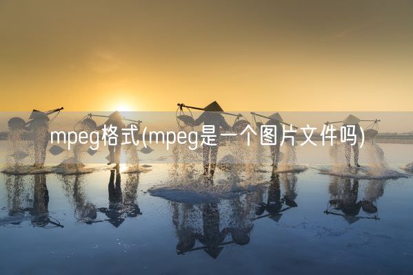 mpeg格式(mpeg是一个图片文件吗)(图1)