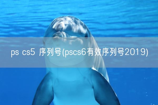 ps cs5 序列号(pscs6有效序列号2019)(图1)