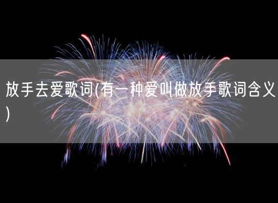 放手去爱歌词(有一种爱叫做放手歌词含义)(图1) 放手去爱歌词(有一种爱叫做放手歌词含义)(图1)