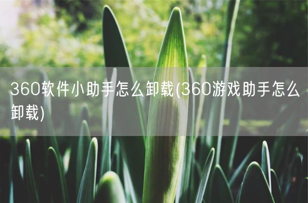 360软件小助手怎么卸载(360游戏助手怎么卸载)(图1)