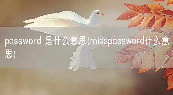 password 是什么意思(misspassword什么意思)(图1)