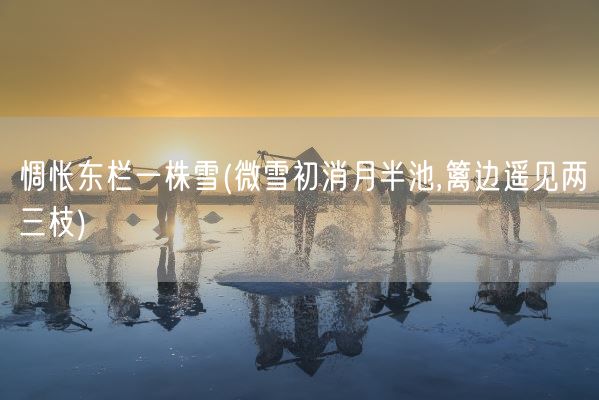 惆怅东栏一株雪(微雪初消月半池,篱边遥见两三枝)(图1)