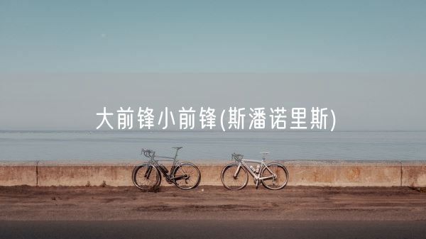 大前锋小前锋(斯潘诺里斯)(图1)