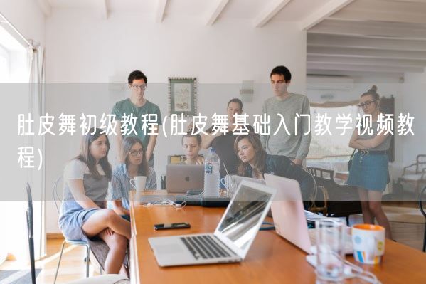 肚皮舞初级教程(肚皮舞基础入门教学视频教程)(图1)