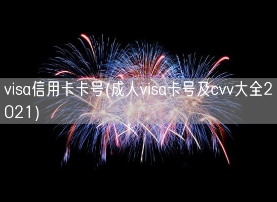 visa信用卡卡号(成人visa卡号及cvv大全2021)(图1)