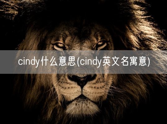 cindy什么意思(cindy英文名寓意)(图1)