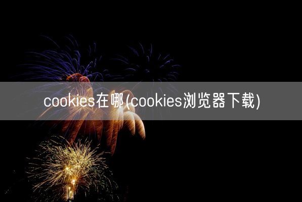 cookies在哪(cookies浏览器下载)(图1)