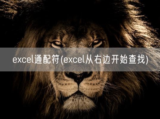 excel通配符(excel从右边开始查找)(图1)