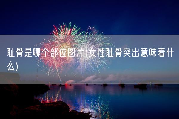 耻骨是哪个部位图片(女性耻骨突出意味着什么)(图1)
