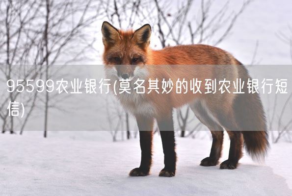 95599农业银行(莫名其妙的收到农业银行短信)(图1)