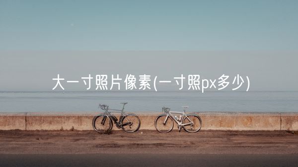 大一寸照片像素(一寸照px多少)(图1)