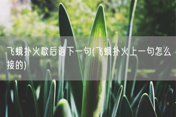 飞蛾扑火歇后语下一句(飞蛾扑火上一句怎么接的)(图1)