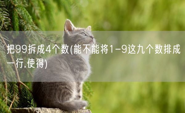 把99拆成4个数(能不能将1-9这九个数排成一行,使得)(图1) 把99拆成4个数(能不能将1-9这九个数排成一行,使得)(图1)