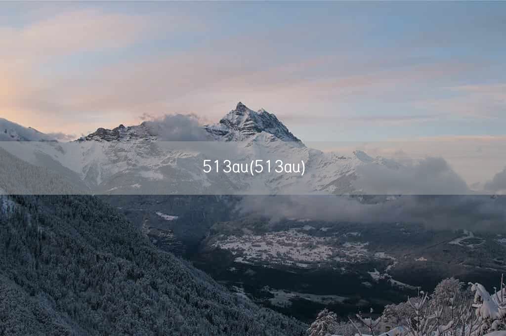 513au(513au)(图1)