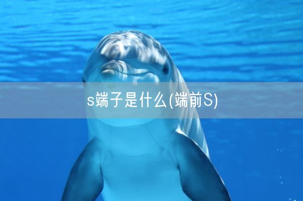 s端子是什么(端前S)(图1)