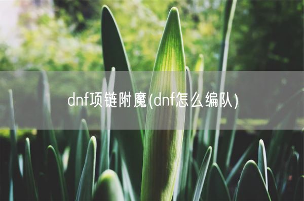 dnf项链附魔(dnf怎么编队)(图1) dnf项链附魔(dnf怎么编队)(图1)