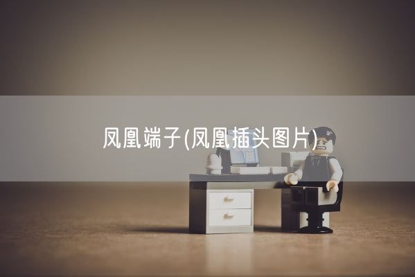 凤凰端子(凤凰插头图片)(图1)