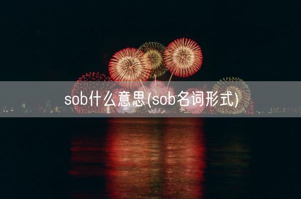 sob什么意思(sob名词形式)(图1) sob什么意思(sob名词形式)(图1)