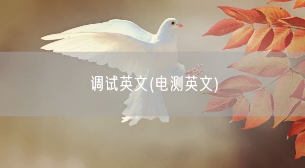 调试英文(电测英文)(图1)